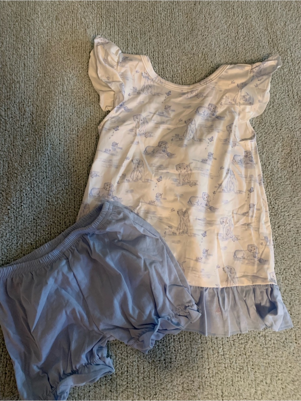 Girls' Light Blue Puppy Print Shirt and Shorts Set